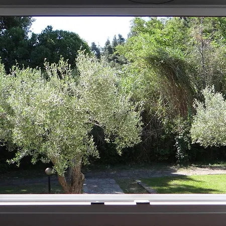 Kalogeriko Διαμέρισμα