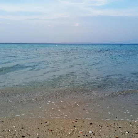 Kalogeriko * Πολύχρονο